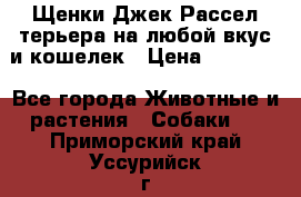 Щенки Джек Рассел терьера на любой вкус и кошелек › Цена ­ 13 000 - Все города Животные и растения » Собаки   . Приморский край,Уссурийск г.